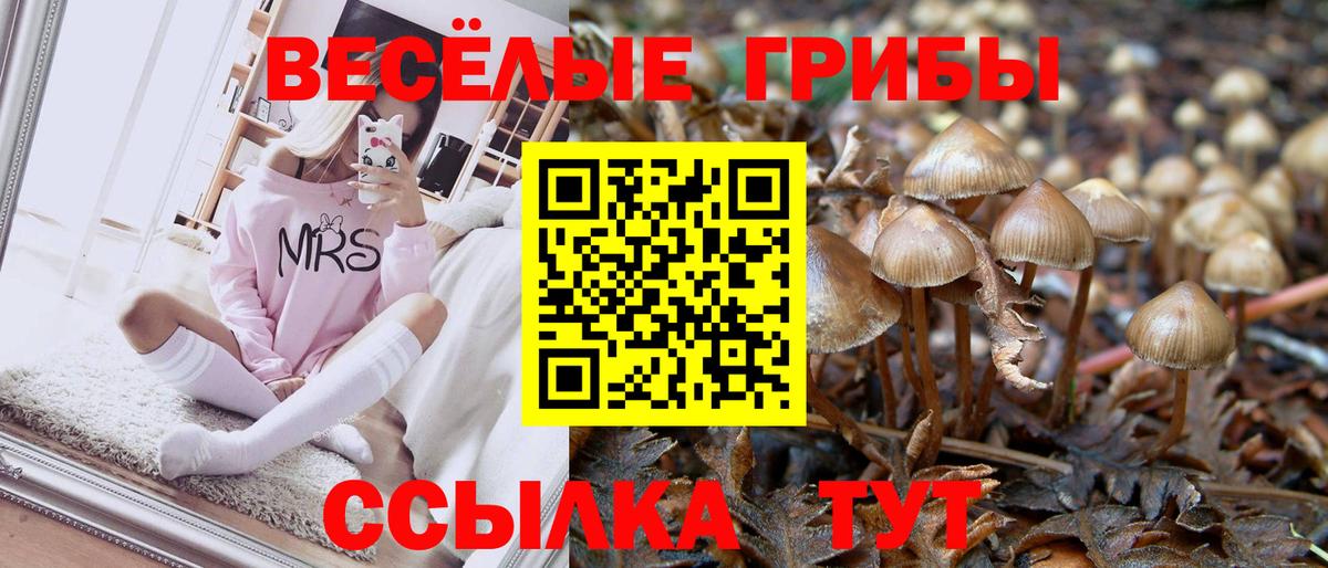 Галлюциногенные грибы Magic Shrooms  Галлюциногенные грибы MAGIC MUSHROOMS  сколько стоит  Вход с VPN  Гусь-Хрустальный 